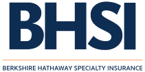BHSI Logo
