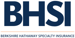 BHSI Logo